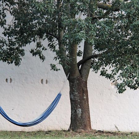 Impalata B&B Masseria Santanna מראה חיצוני תמונה